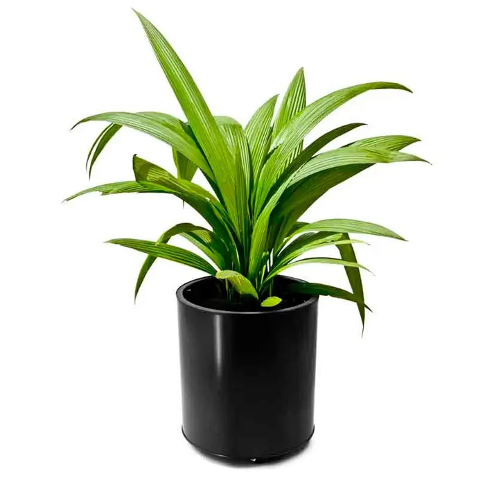 Jardinera-Mediana-en-acero-inox-con-pintura-electrostatica